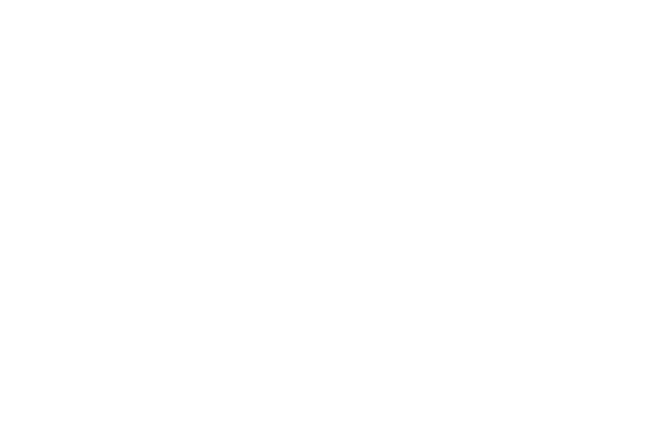 A FACULDADE DO SUCESSO BRANCO - FUND TRANSP